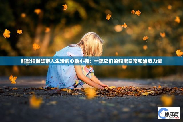 那些把温暖带入生活的心动小狗：一窥它们的甜蜜日常和治愈力量